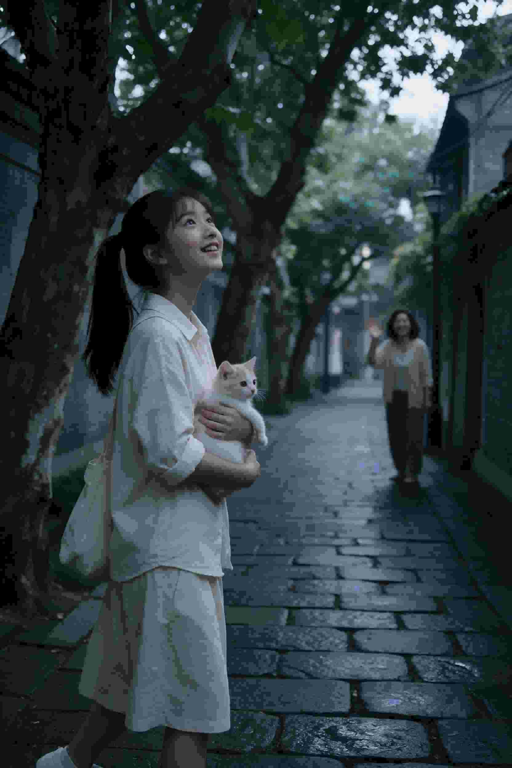 影子杀手